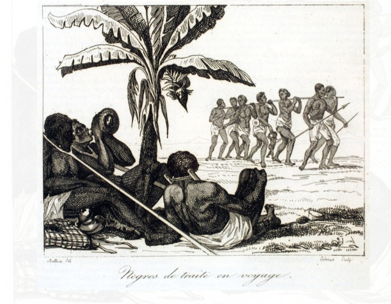 The image showing how slavery rooted in African continent t Mandingo tribe dating back to 19th century