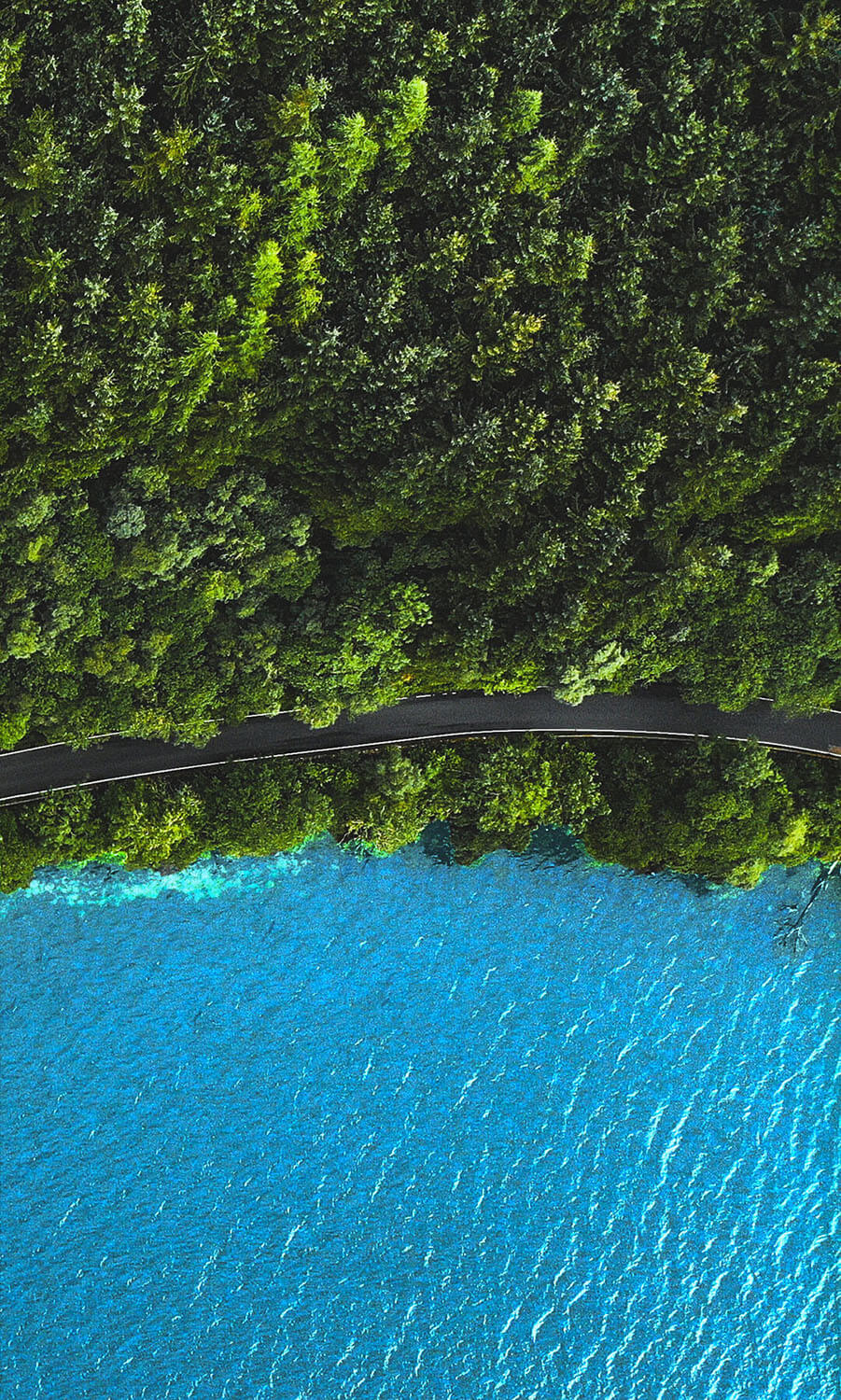 Welcome visitors to the page.