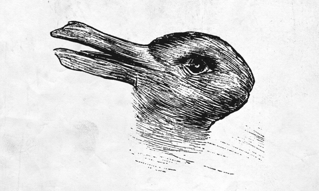 a picture of a duck rabbit showing vagueness and ambiguity.