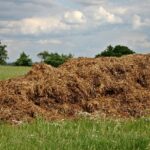 dung, crap place, damn, agriculture, haystack, livestock, manure, stall manure, farmer, meadow, fertilize, manure, manure, manure, manure, manure