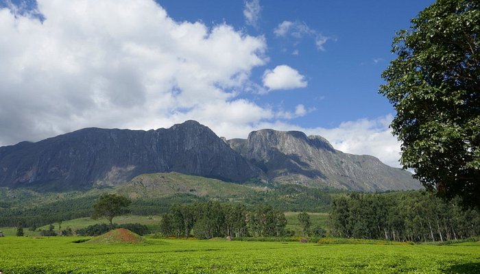 Mulanje Mountain, the biggest mountain in Malawi.
